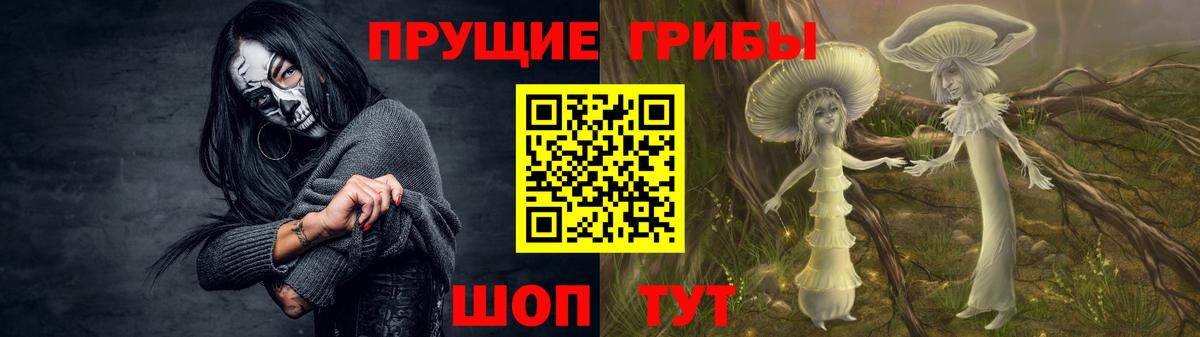 Псилоцибиновые грибы GOLDEN TEACHER Семилуки