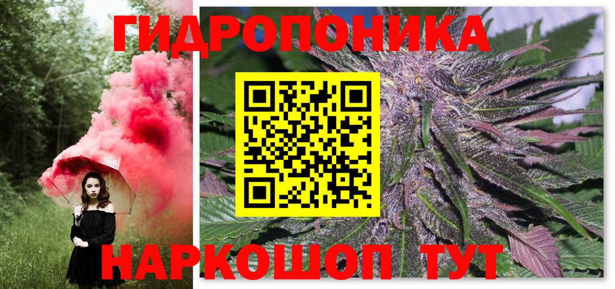 Конопля планчик  Бошки марихуана конопля  Семилуки  Бошки марихуана конопля  Вход с VPN 